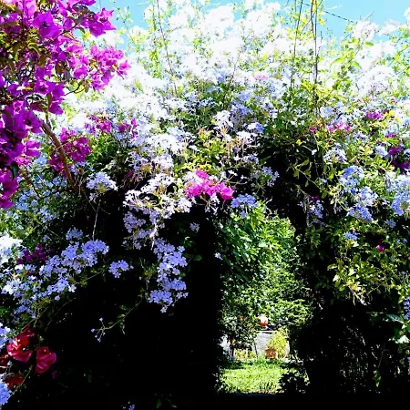 The Secret Garden - Casa Di Sery