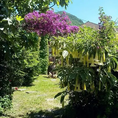 The Secret Garden - Casa Di Sery