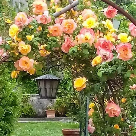 The Secret Garden - Casa Di Sery *