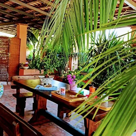 The Secret Garden - Casa Di Sery Maratea