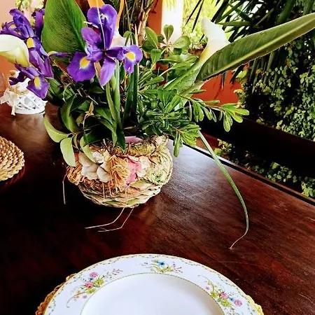The Secret Garden - Casa Di Sery マラテーア