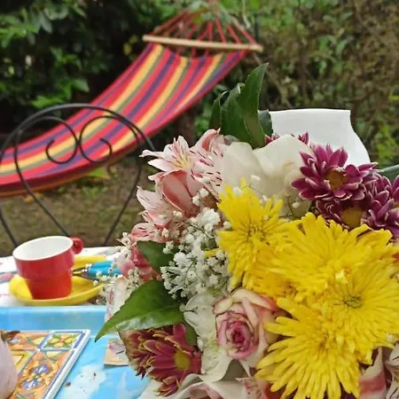 The Secret Garden - Casa Di Sery Maratea