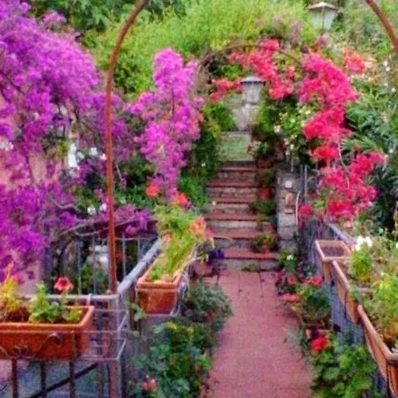 The Secret Garden - Casa Di Sery Appartement Maratea