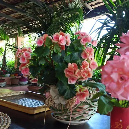 The Secret Garden - Casa Di Sery * Maratea