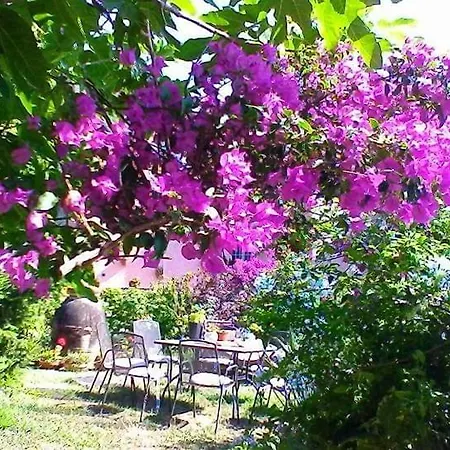The Secret Garden - Casa Di Sery Apartment Maratea