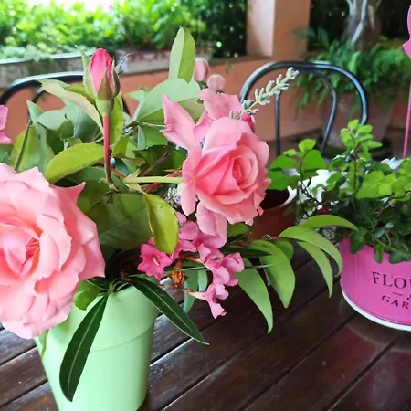 Appartement The Secret Garden - Casa Di Sery