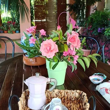 The Secret Garden - Casa Di Sery アパート