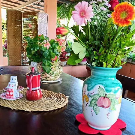 The Secret Garden - Casa Di Sery Appartement *