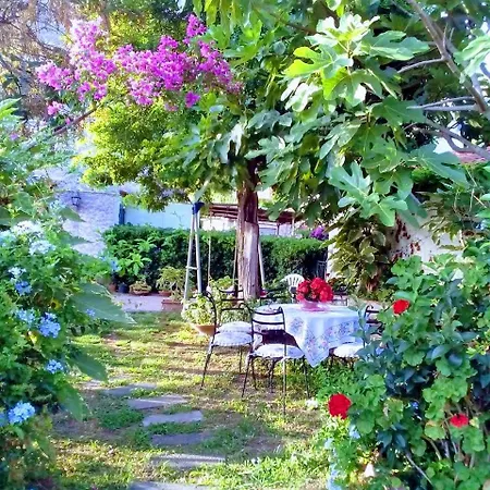 The Secret Garden - Casa Di Sery *