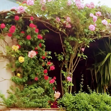 The Secret Garden - Casa Di Sery Apartment Maratea