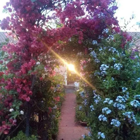 The Secret Garden - Casa Di Sery アパート *