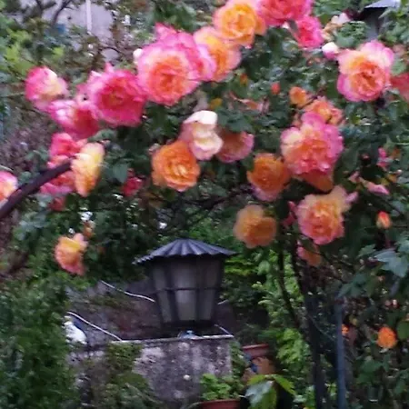 The Secret Garden - Casa Di Sery Appartement *