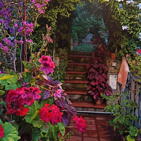 The Secret Garden - Casa Di Sery