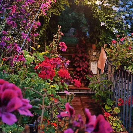 The Secret Garden - Casa Di Sery