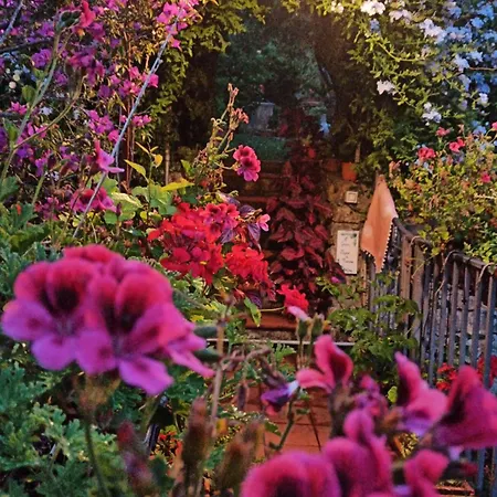 The Secret Garden - Casa Di Sery アパート マラテーア