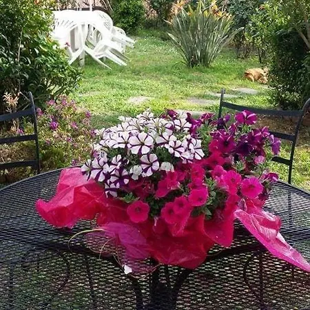 The Secret Garden - Casa Di Sery *