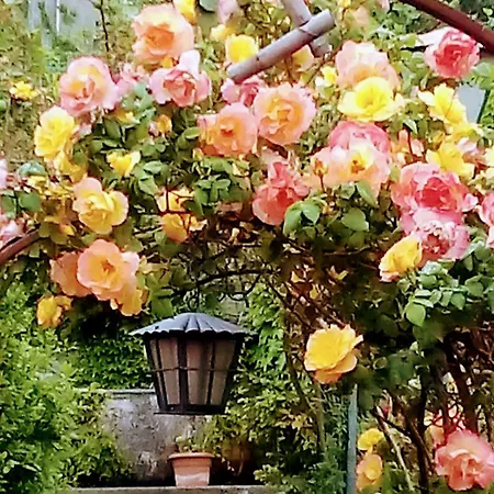 The Secret Garden - Casa Di Sery Apartment Maratea