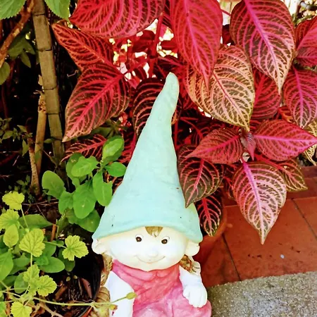 Appartement The Secret Garden - Casa Di Sery