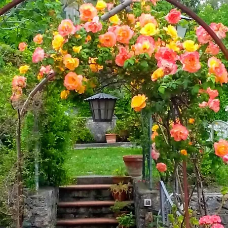The Secret Garden - Casa Di Sery *